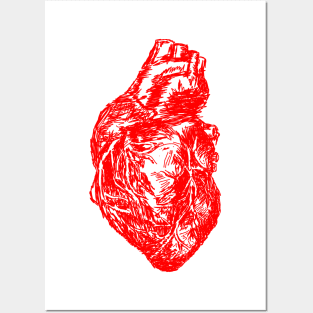 Heart Sketch Posters and Art